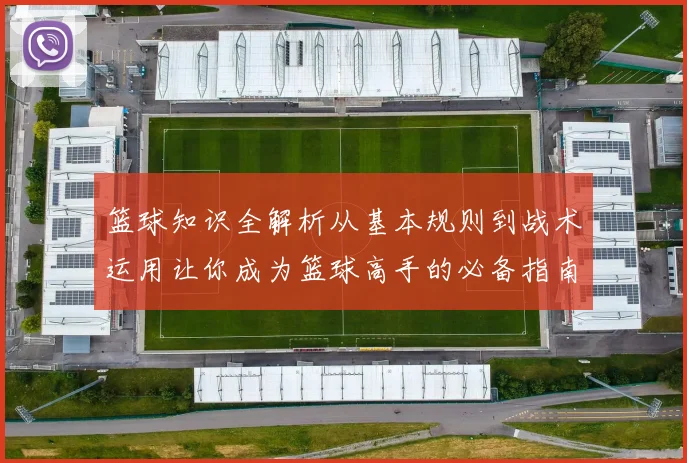 篮球知识全解析从基本规则到战术运用让你成为篮球高手的必备指南