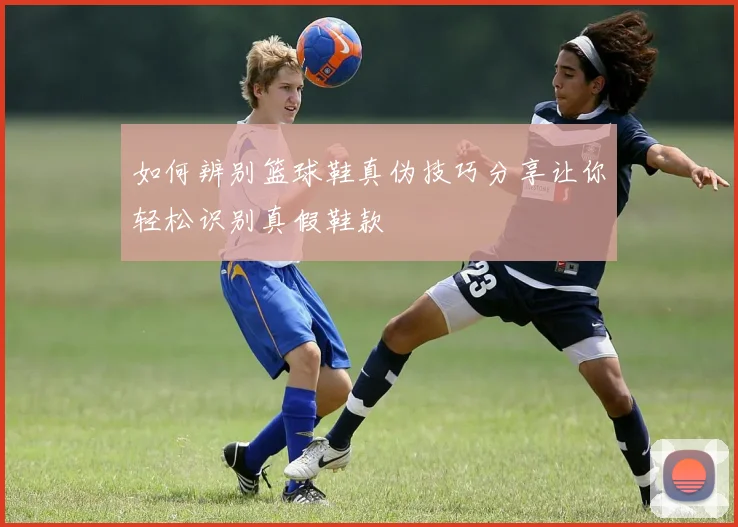 如何辨别篮球鞋真伪技巧分享让你轻松识别真假鞋款