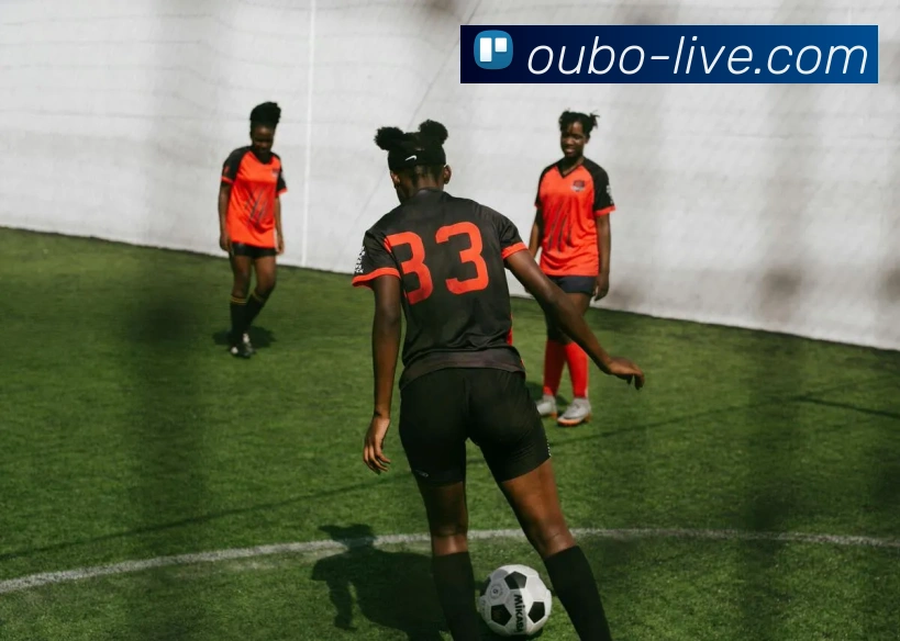 多媒体互动体验